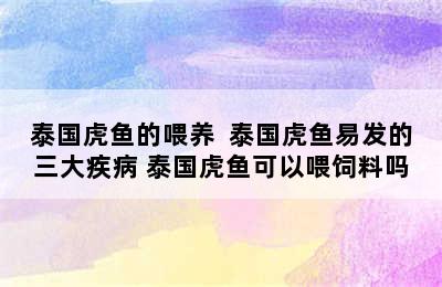 泰国虎鱼的喂养  泰国虎鱼易发的三大疾病 泰国虎鱼可以喂饲料吗